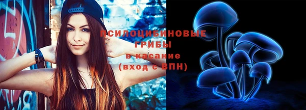 винт Кострома