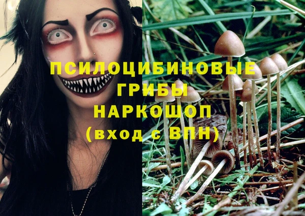 экстази Пересвет