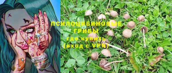 не бодяженный Переславль-Залесский