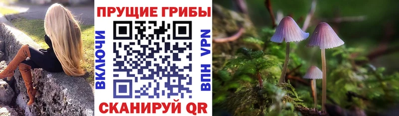 Галлюциногенные грибы Magic Shrooms  купить закладку  Сковородино 